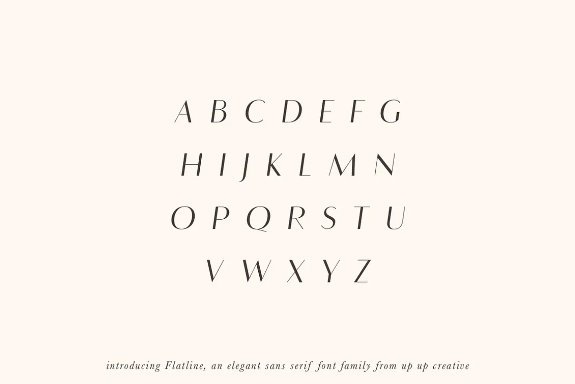 Flatline Sans Complete - 16 fonts
