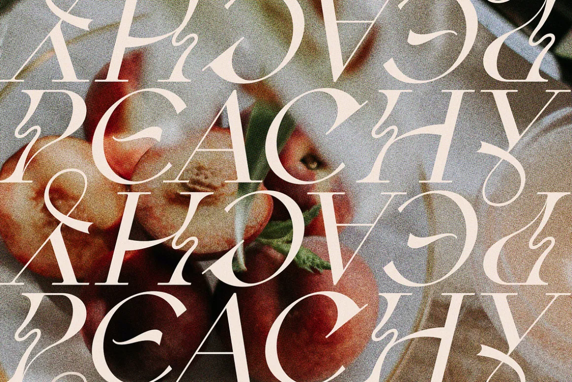 Fleur Display - Sans/Serif Font Duo