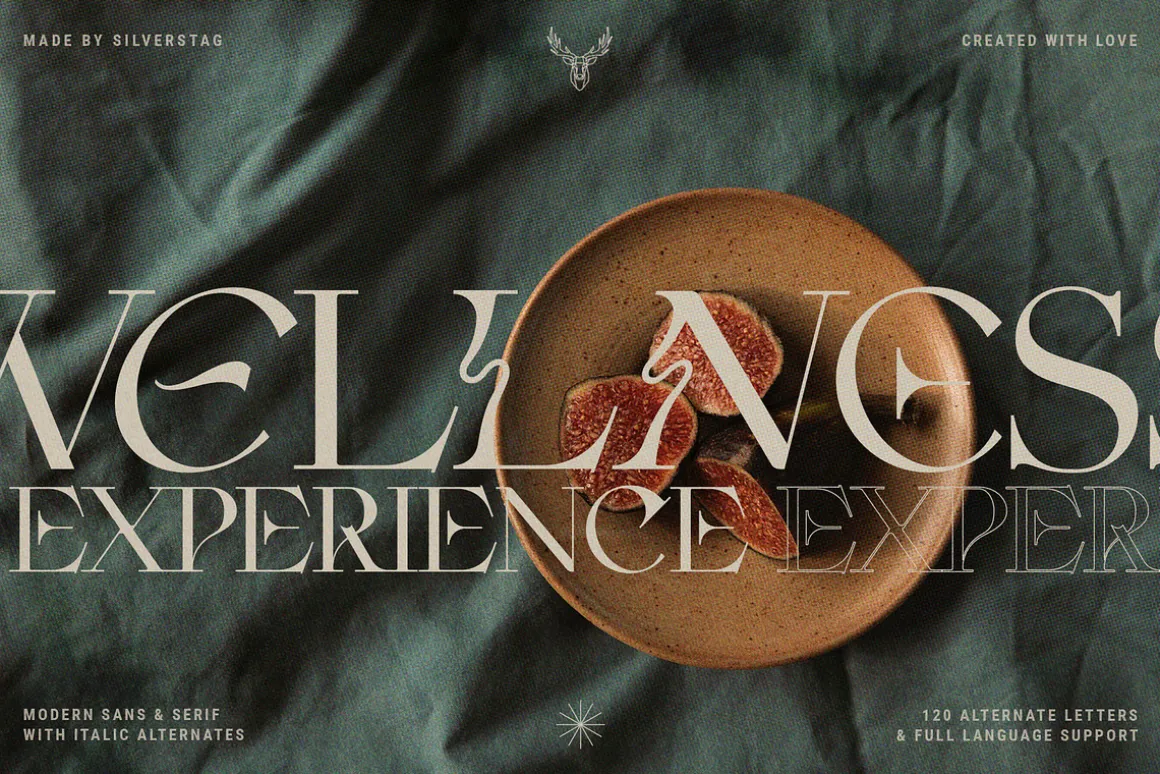 Fleur Display - Sans/Serif Font Duo