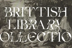 Fleur Display - Sans/Serif Font Duo