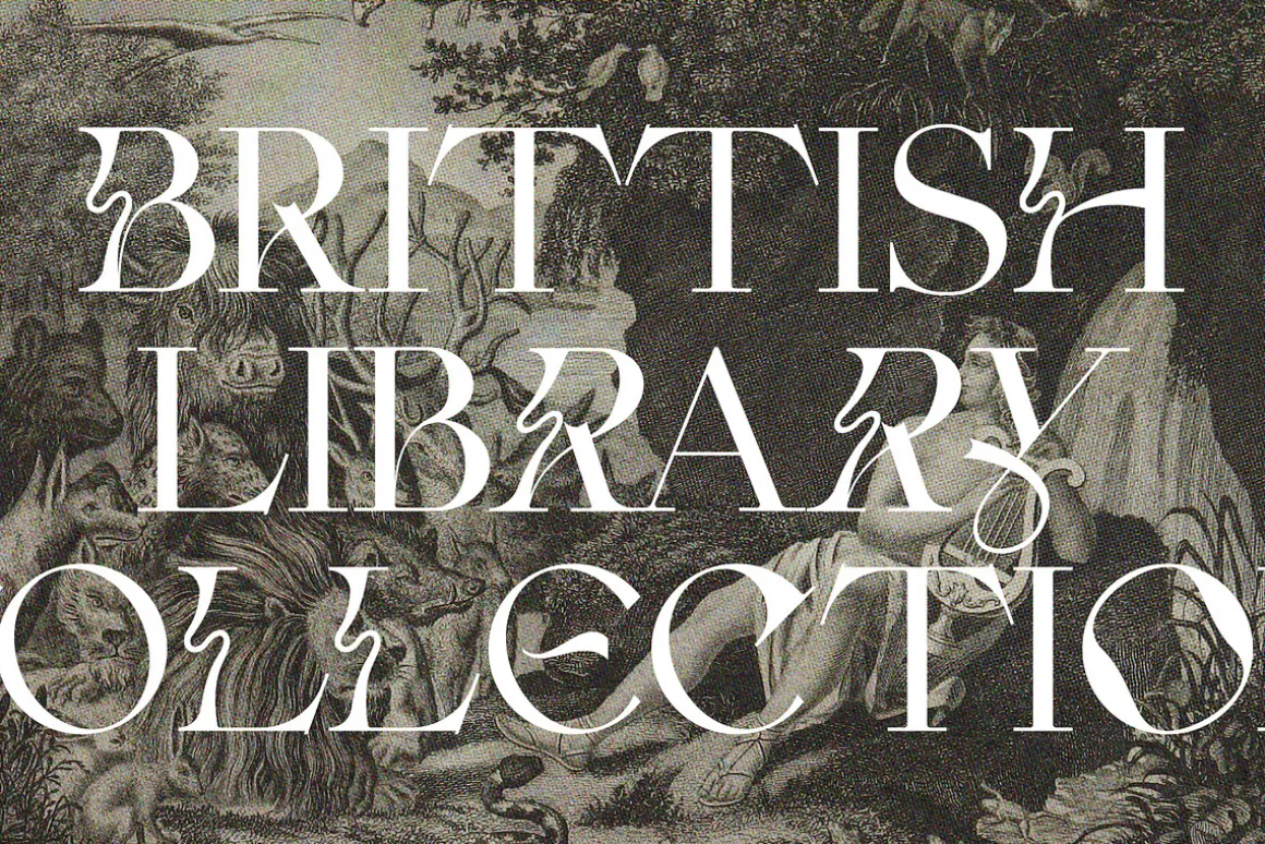 Fleur Display - Sans/Serif Font Duo