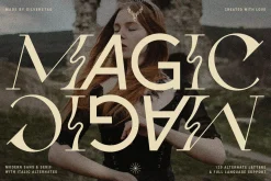 Fleur Display - Sans/Serif Font Duo