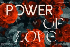 Fleur Display - Sans/Serif Font Duo