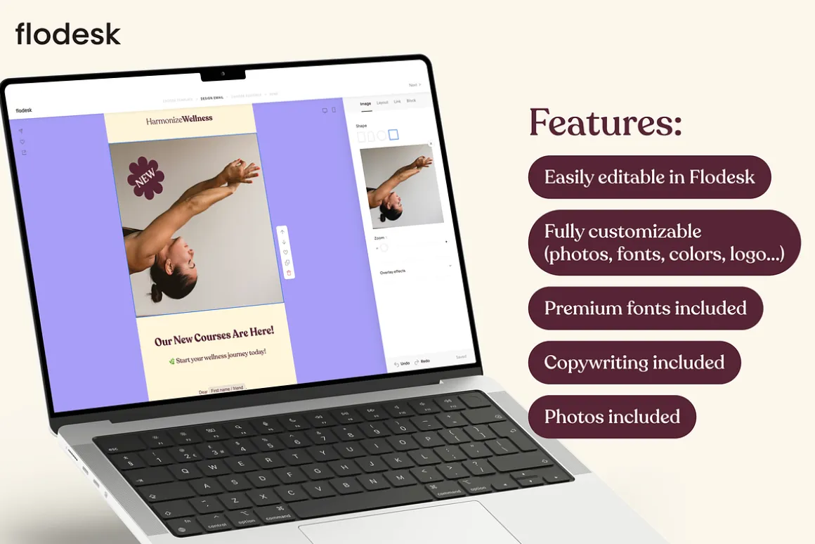 Flodesk Wellness Email Templates