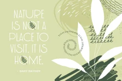 Flora & Francie Font Duo