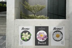 Floral Art Posters Set