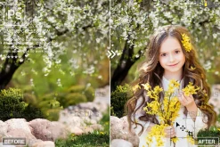 Floral Backdrop, Photoshop Backdrop
