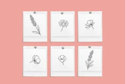 Floral Bows Vector Illustrations