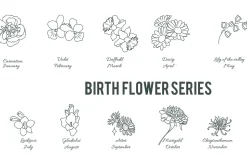Flower birth line art illustration