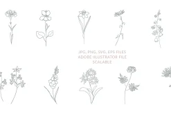Flower birth line art illustration