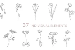 Flower birth line art illustration