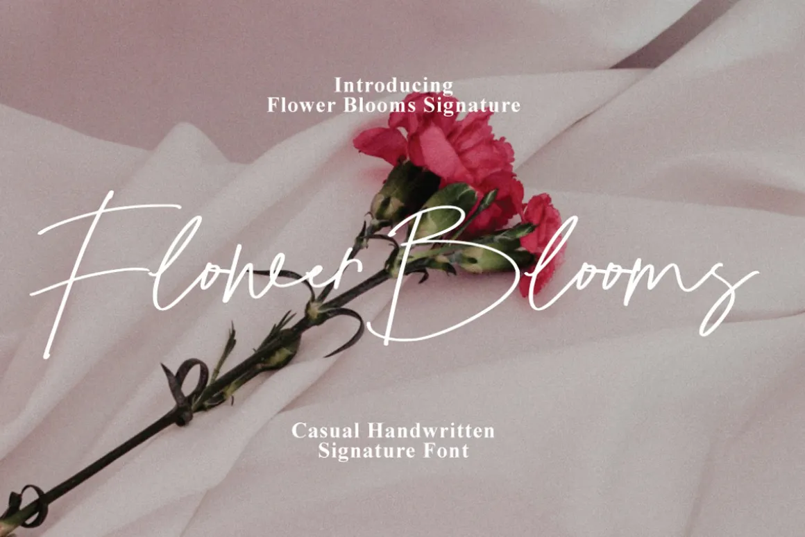 Flower Blooms - Casual Signature
