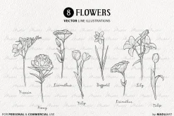 Flowers Vector Clipart Bundle