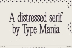 Flyer TM – Distressed Serif