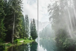 Fog & Mist - Photoshop Brushes