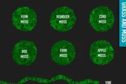 Foliage Brushes for Affinity