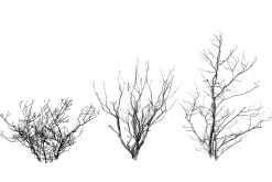 Foliage brush set
