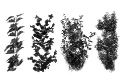 Foliage brush set