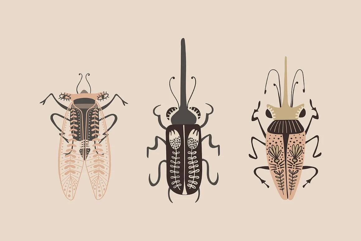 Folk Art Insects.