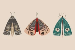 Folk Art Insects.