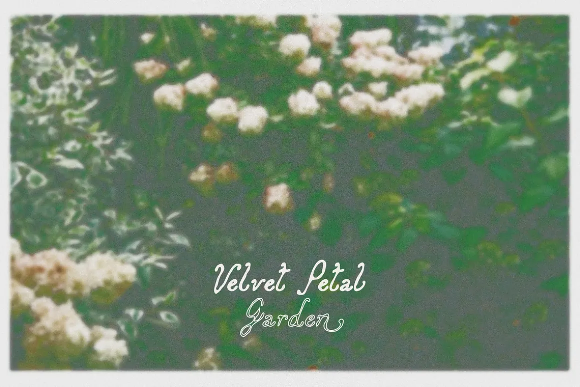 Folk Club // 17 Font Set (Pixel)