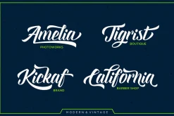 Font Collection | 33 Fonts