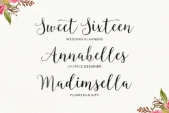 Font Collection | 33 Fonts