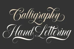 Font Collection | 33 Fonts