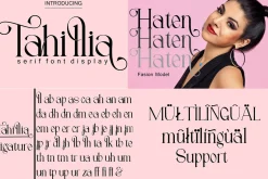 Font Collection Sans & Serif Bundles