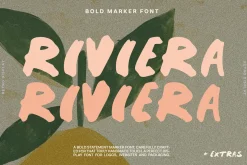 Font & Graphic Whole Shop Collection