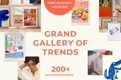 Font & Graphic Whole Shop Collection