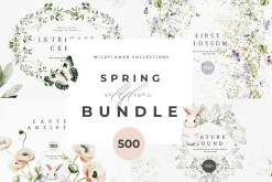 Font & Graphic Whole Shop Collection