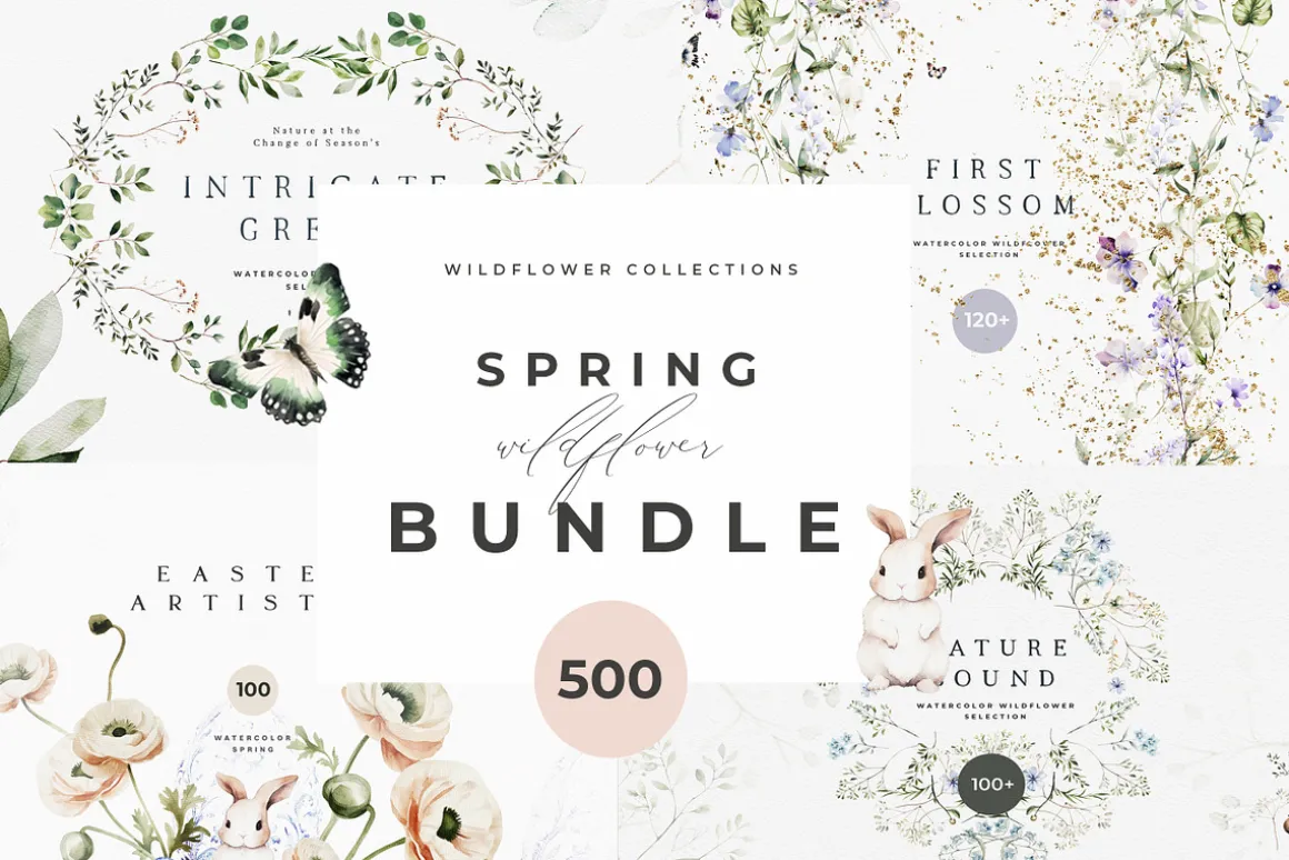 Font & Graphic Whole Shop Collection