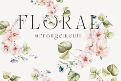 Font & Graphic Whole Shop Collection