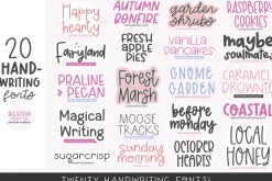 20 Fonts! HANDWRITING FONT BUNDLE v2