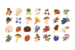 Food, groceries icons, big set