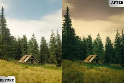Forest Film Lightroom Presets