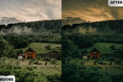 Forest Film Lightroom Presets
