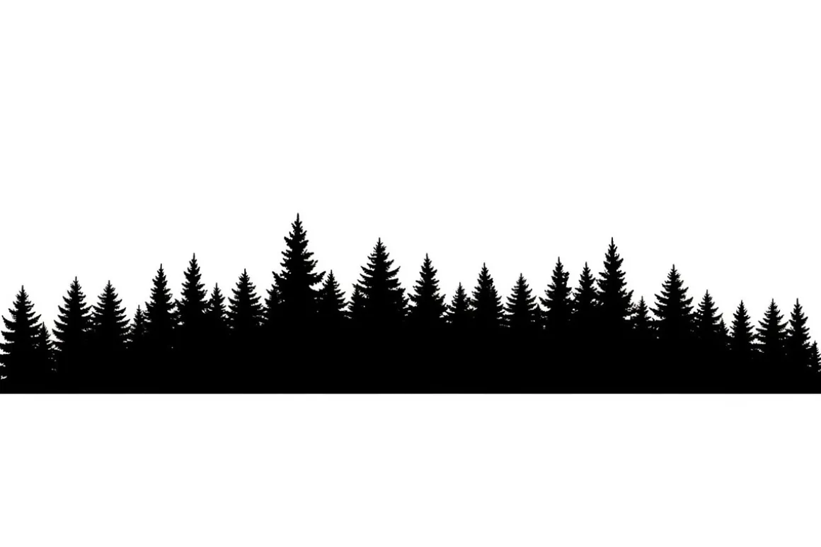 Forest Landscape Silhouettes Set