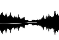 Forest Landscape Silhouettes Set
