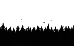 Forest Landscape Silhouettes Set