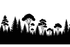 Forest Landscape Silhouettes Set