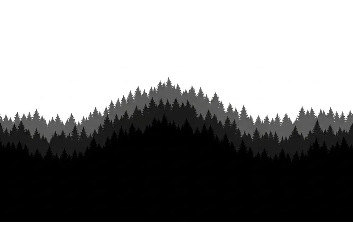 Forest Landscape Silhouettes Set