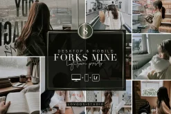 FORKS MINE - Lightroom Presets
