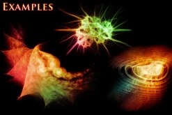 93 Fractal Decoration Brushes