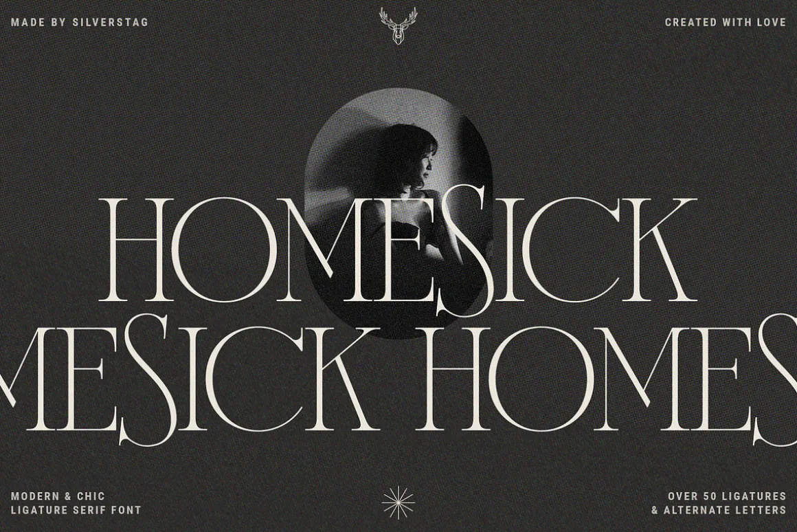 French Voyager - Chic Ligature Serif