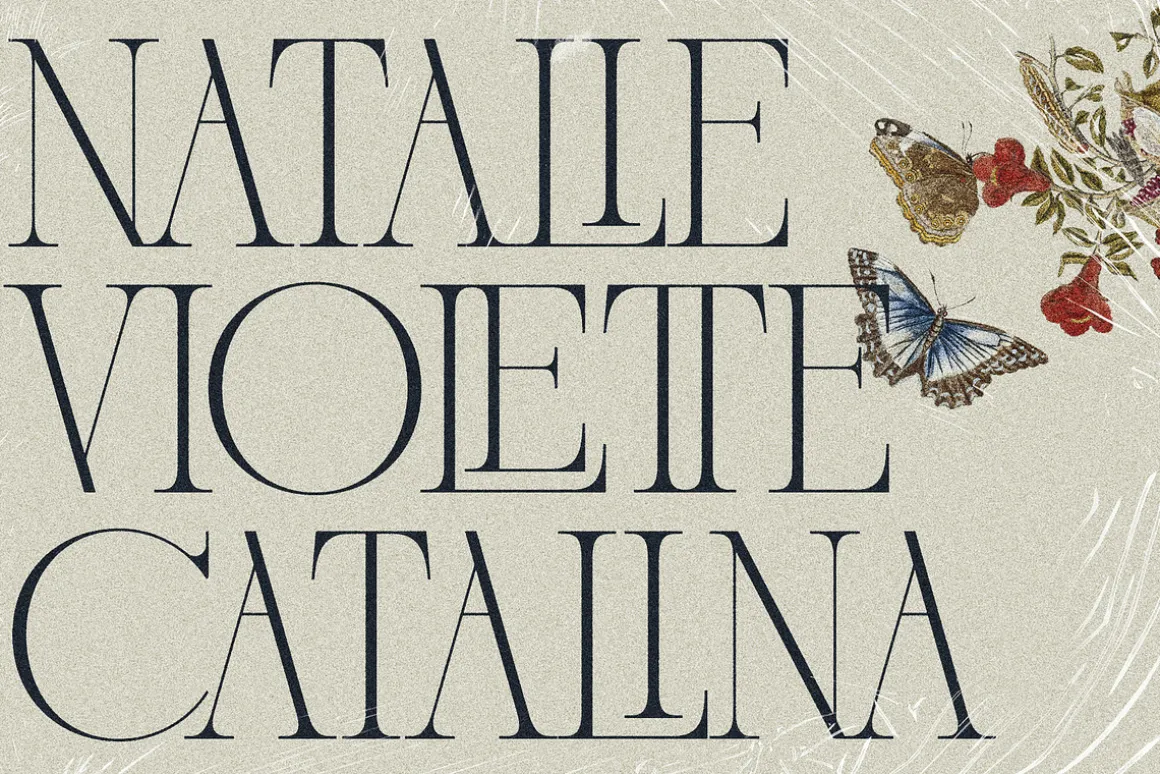 French Voyager - Chic Ligature Serif