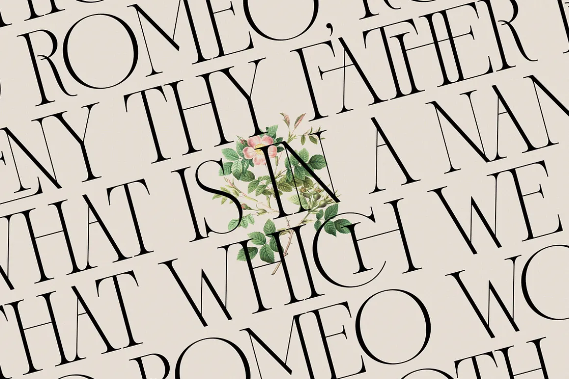 French Voyager - Chic Ligature Serif