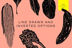 Fruit & Veg - Hand Drawn Vectors