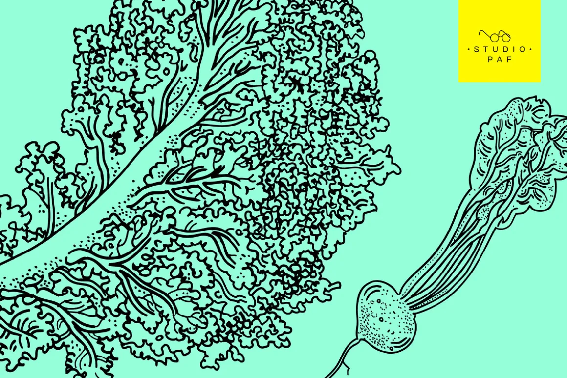 Fruit & Veg - Hand Drawn Vectors